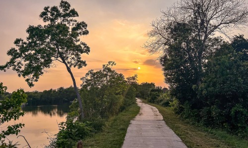 park trail along a river